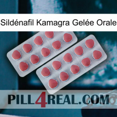 Sildénafil Kamagra Gelée Orale 19